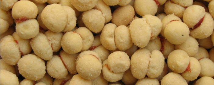 BISCOITOS TAPIOCA
